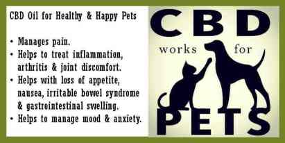 CBD for pets [dogs and cats]