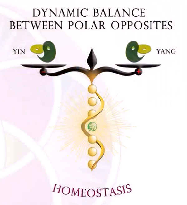 Homeostasis is a Dynamic Balance between polar opposites (Yin and Yang)