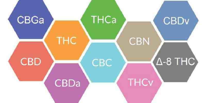 Most Common Cannabinoids